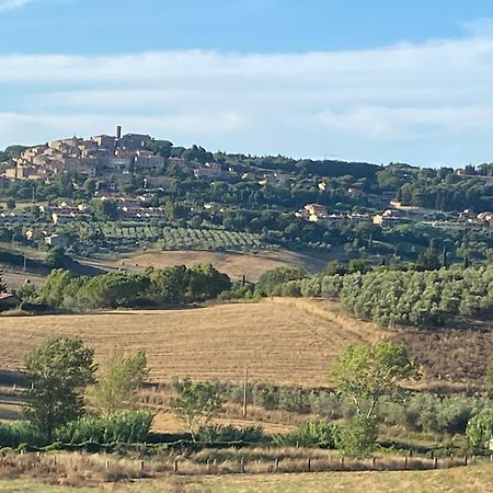 Podere Campo Alle Serpi Bibbona Dış mekan fotoğraf