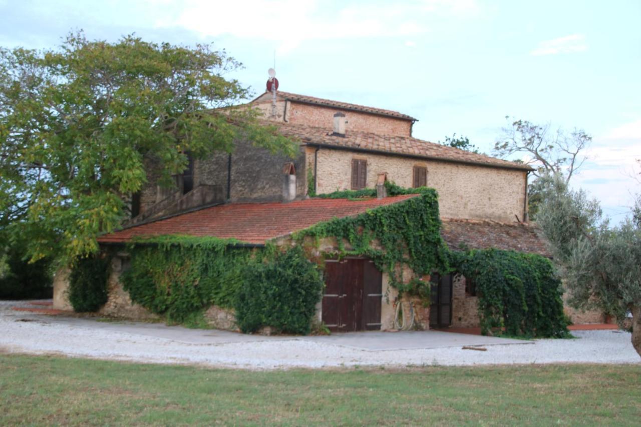 Podere Campo Alle Serpi Bibbona Dış mekan fotoğraf