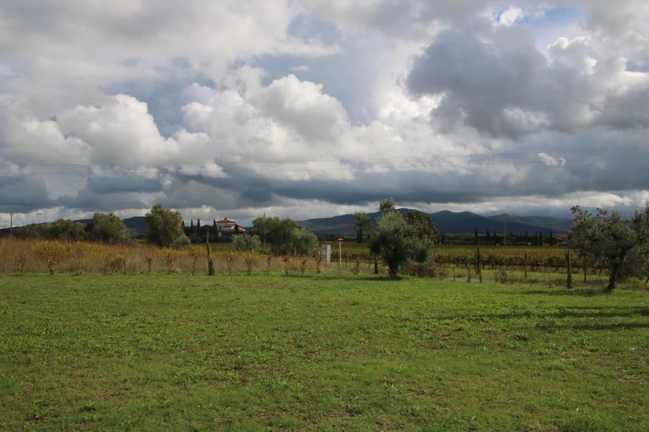 Podere Campo Alle Serpi Bibbona Dış mekan fotoğraf