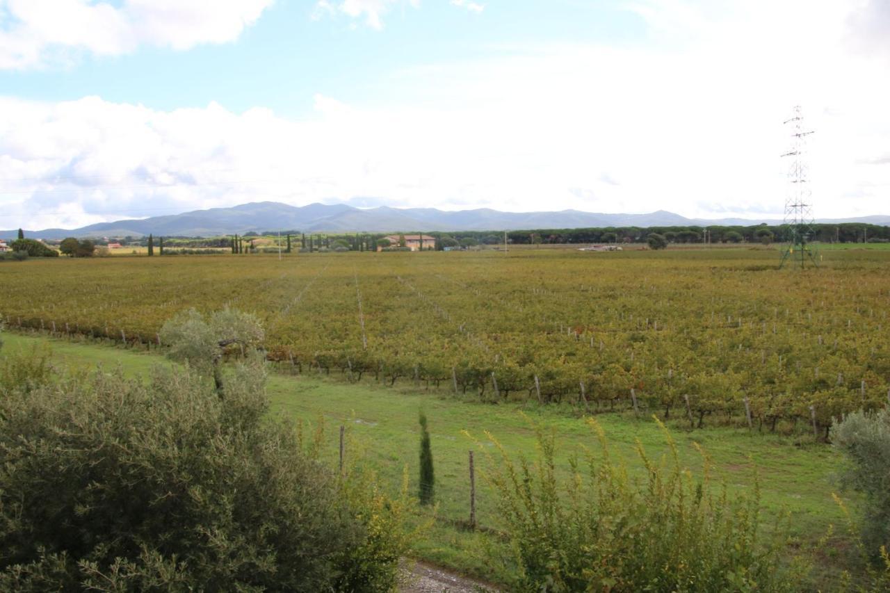 Podere Campo Alle Serpi Bibbona Dış mekan fotoğraf