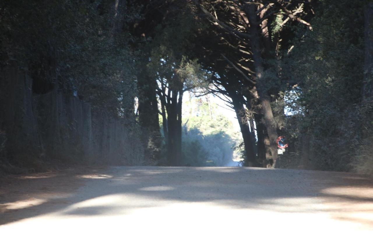 Podere Campo Alle Serpi Bibbona Dış mekan fotoğraf