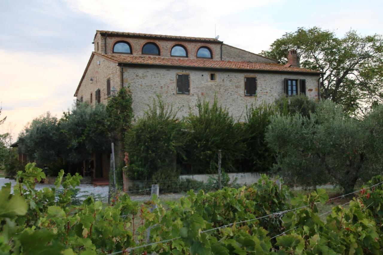 Podere Campo Alle Serpi Bibbona Dış mekan fotoğraf