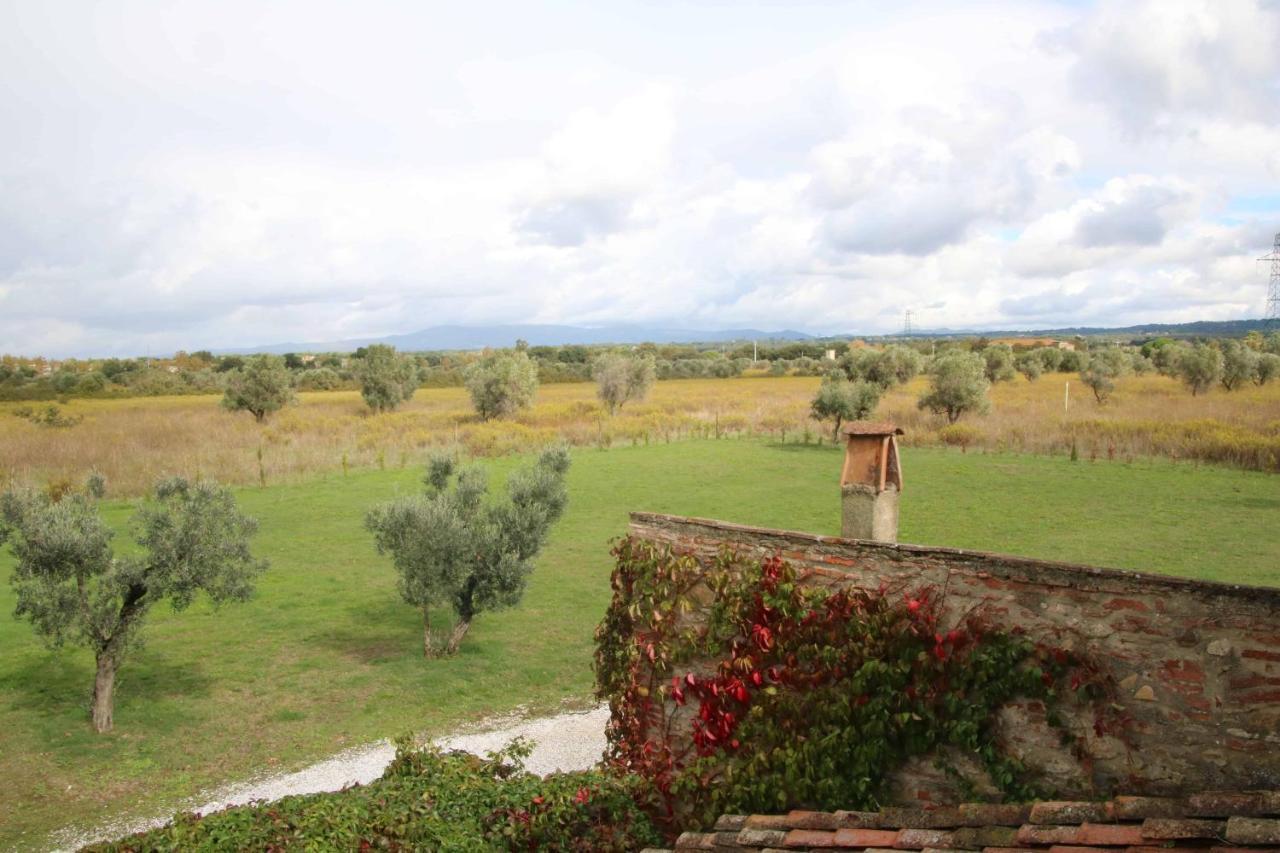Podere Campo Alle Serpi Bibbona Dış mekan fotoğraf