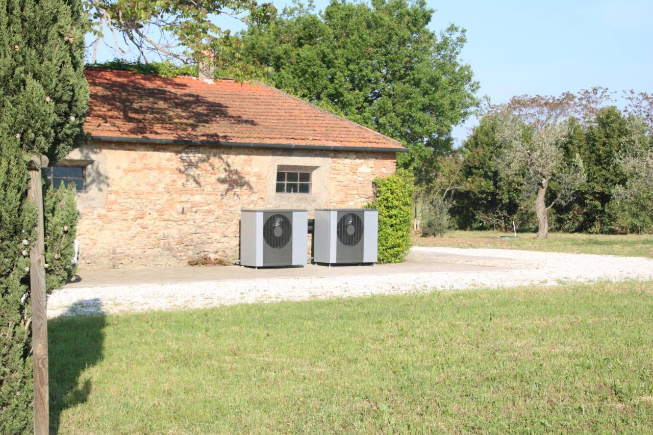 Podere Campo Alle Serpi Bibbona Dış mekan fotoğraf