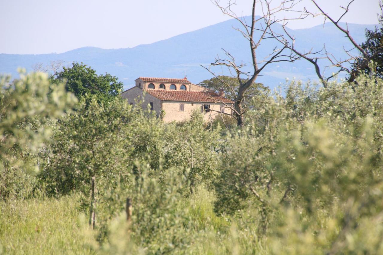 Podere Campo Alle Serpi Bibbona Dış mekan fotoğraf