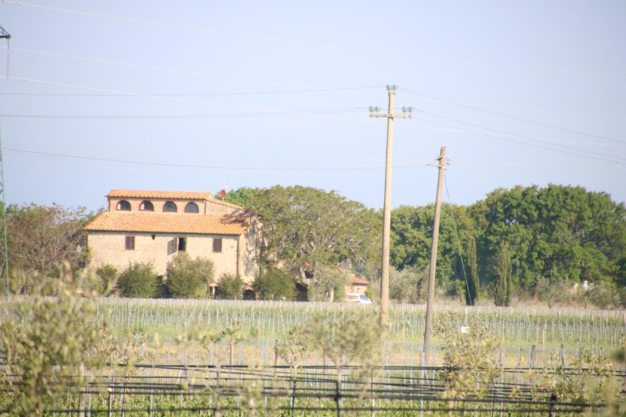 Podere Campo Alle Serpi Bibbona Dış mekan fotoğraf