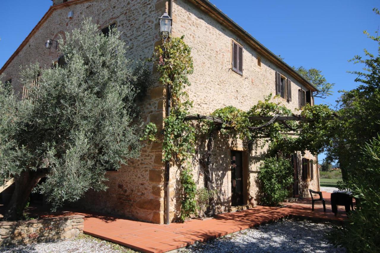Podere Campo Alle Serpi Bibbona Dış mekan fotoğraf