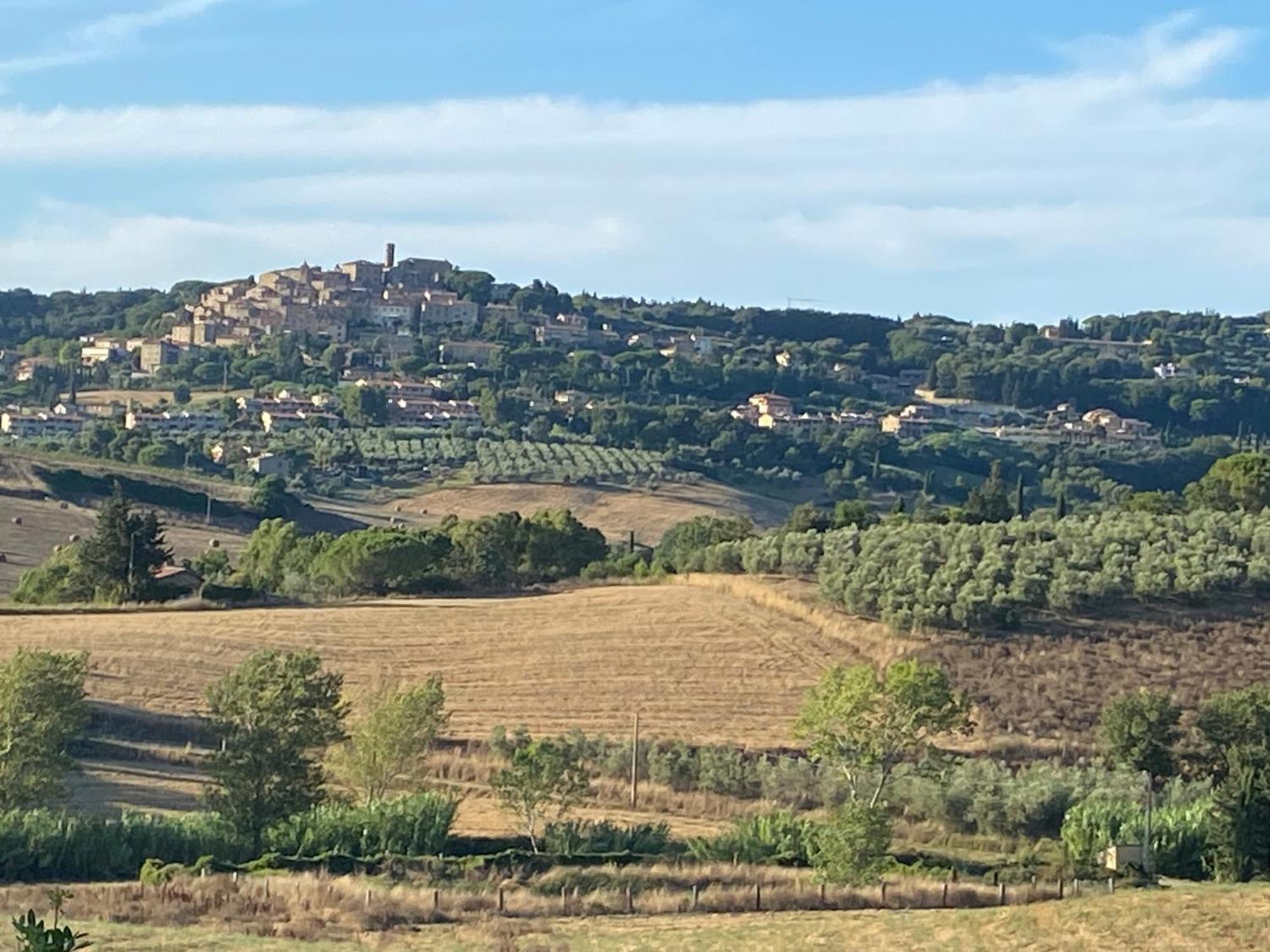 Podere Campo Alle Serpi Bibbona Dış mekan fotoğraf
