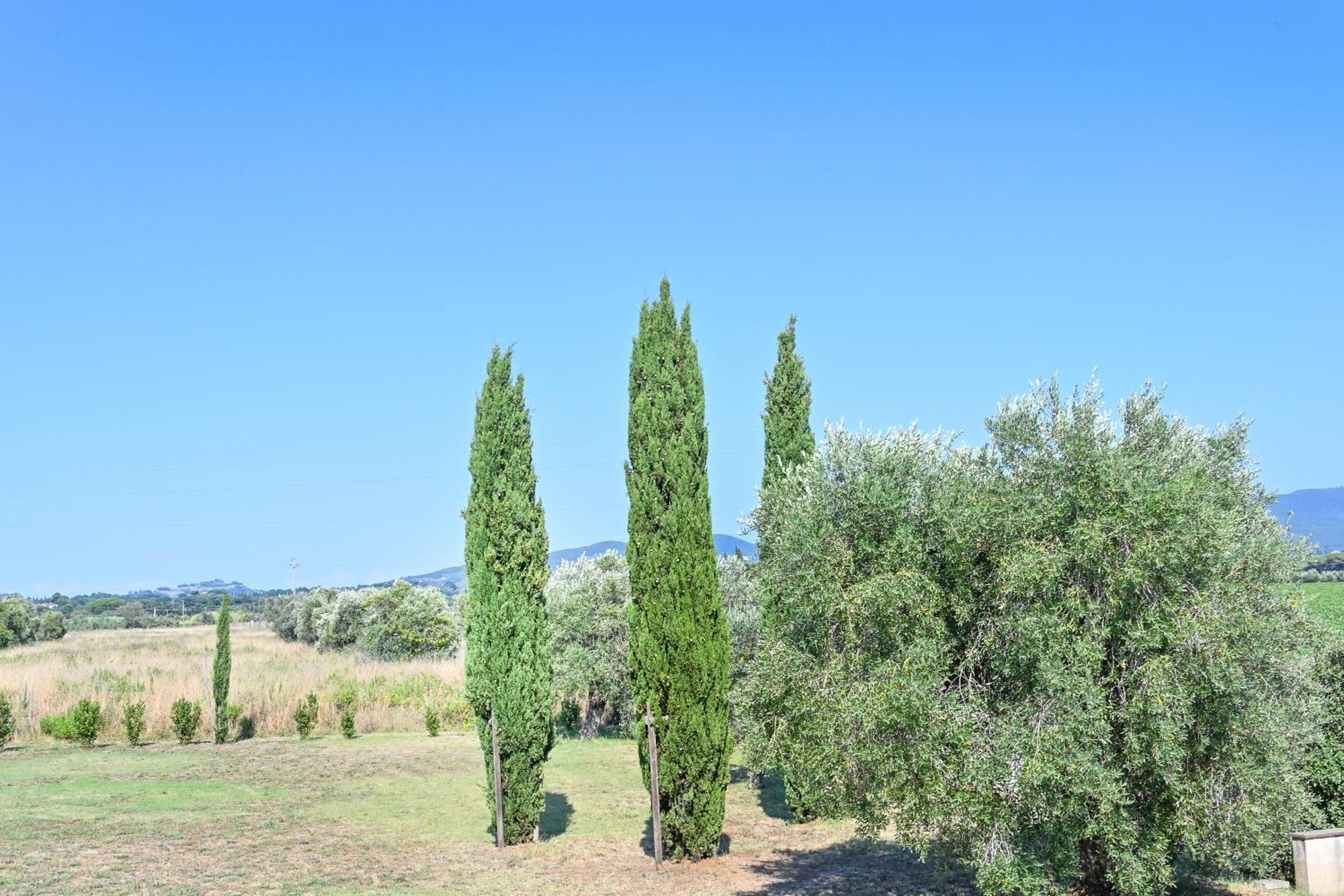 Podere Campo Alle Serpi Bibbona Oda fotoğraf