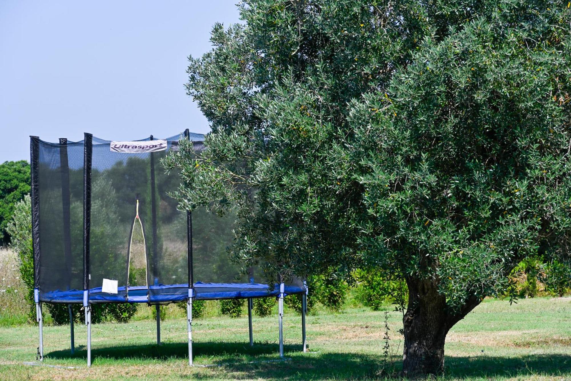Podere Campo Alle Serpi Bibbona Dış mekan fotoğraf