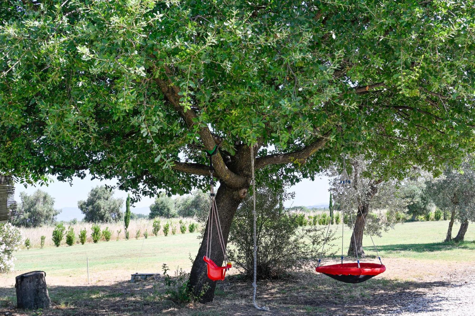 Podere Campo Alle Serpi Bibbona Dış mekan fotoğraf